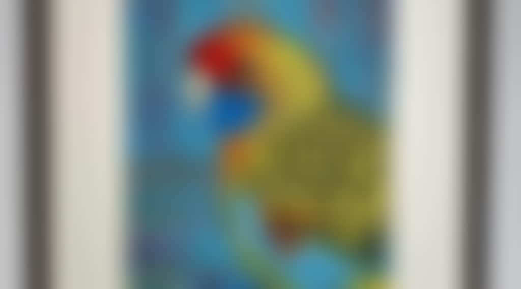 07C437821539D6E0Dd9A7D54D08B0479