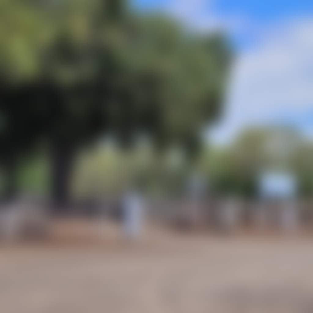 80Cc8E99D5796Fc4F7388C80C7E41Aa5