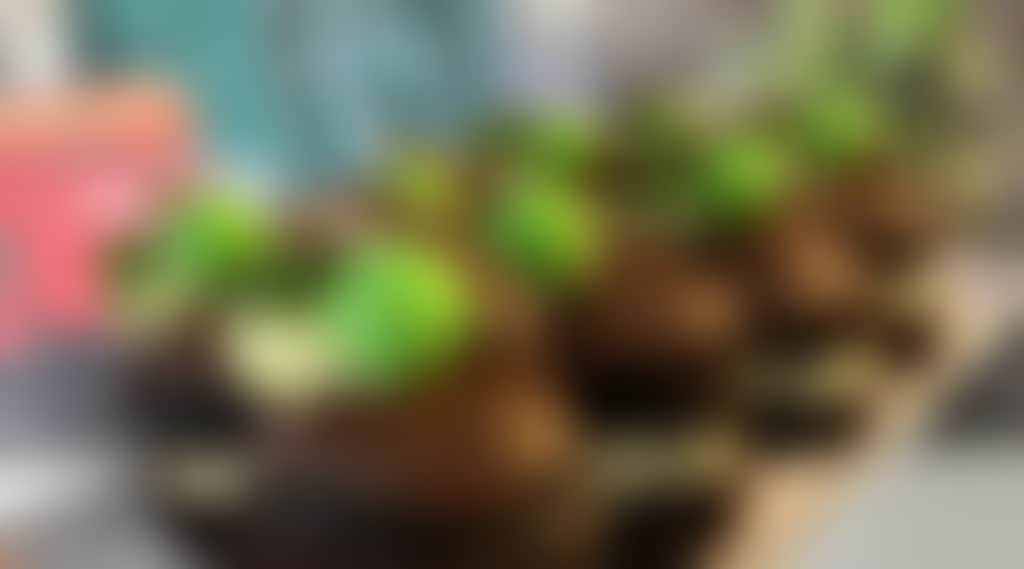 1C5E55D1D2B675Bb7B8C64E31C7Ac09D