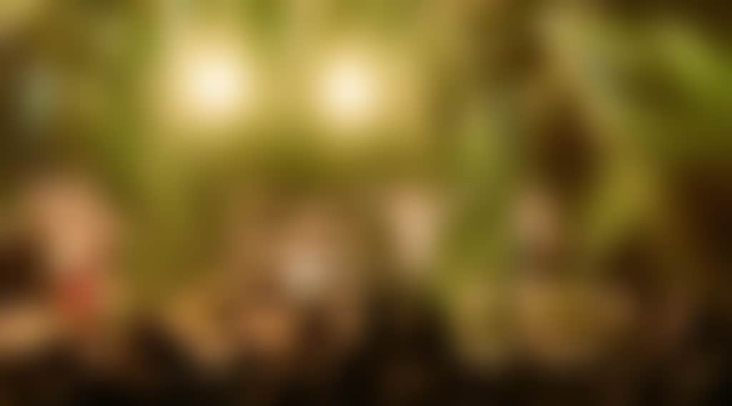 21E1654A5F80B5A27E794B1D886333Ba