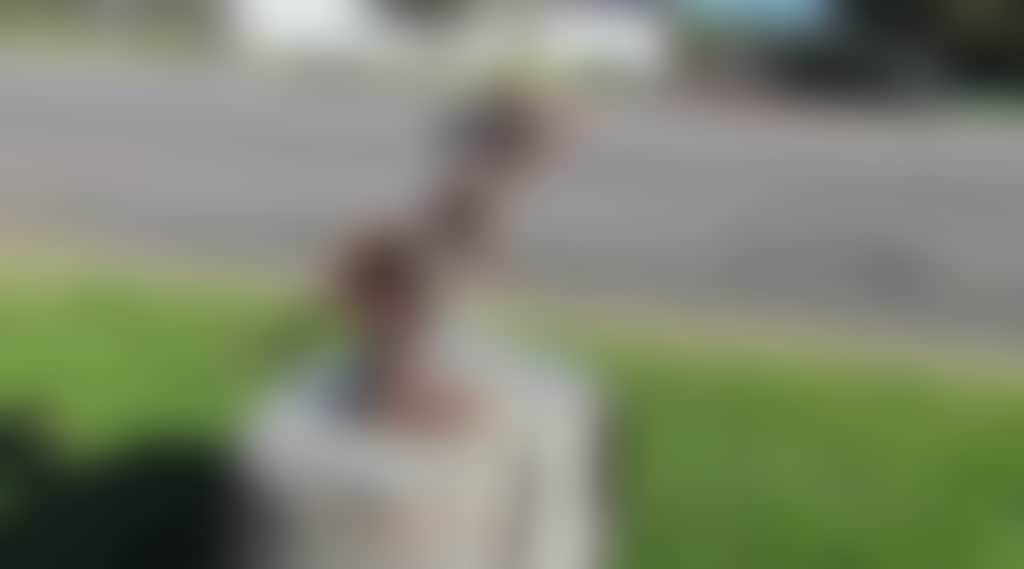 66E53436D47288D5E0D1950C653812D6