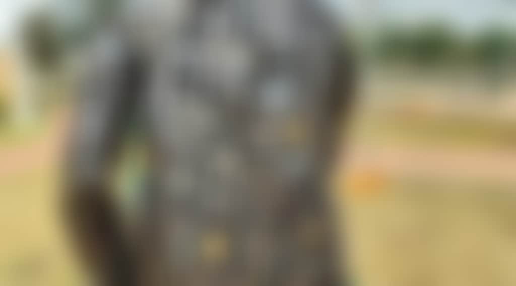 B7Bcef9E6B4Db745F1D961Af491A8Ebd