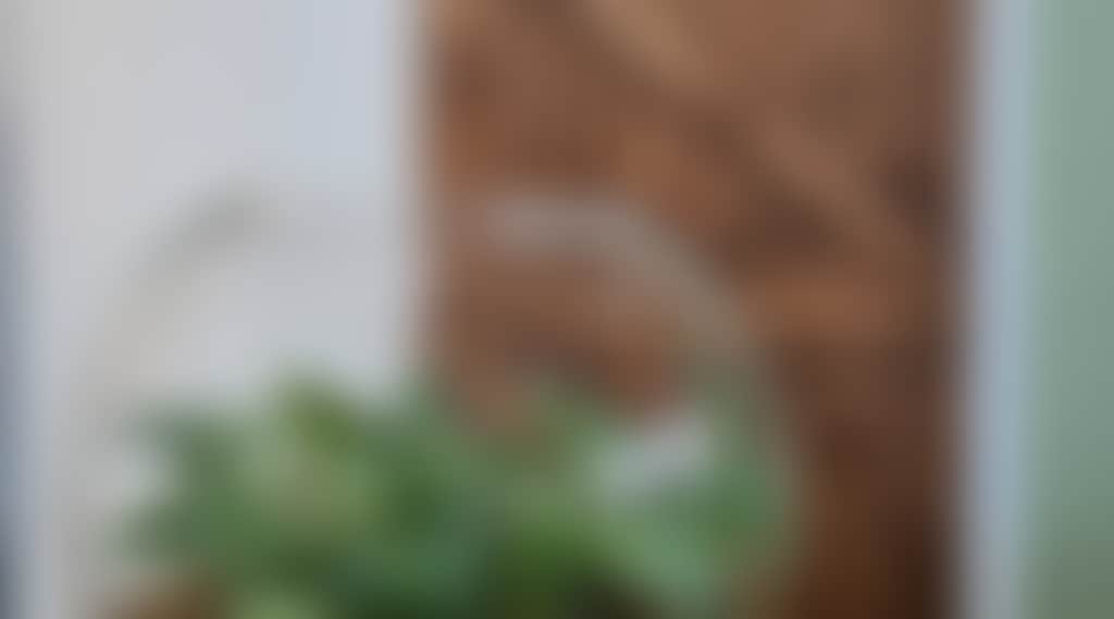 A489F119A82630Cc8Cec3C204Ae1Fee0