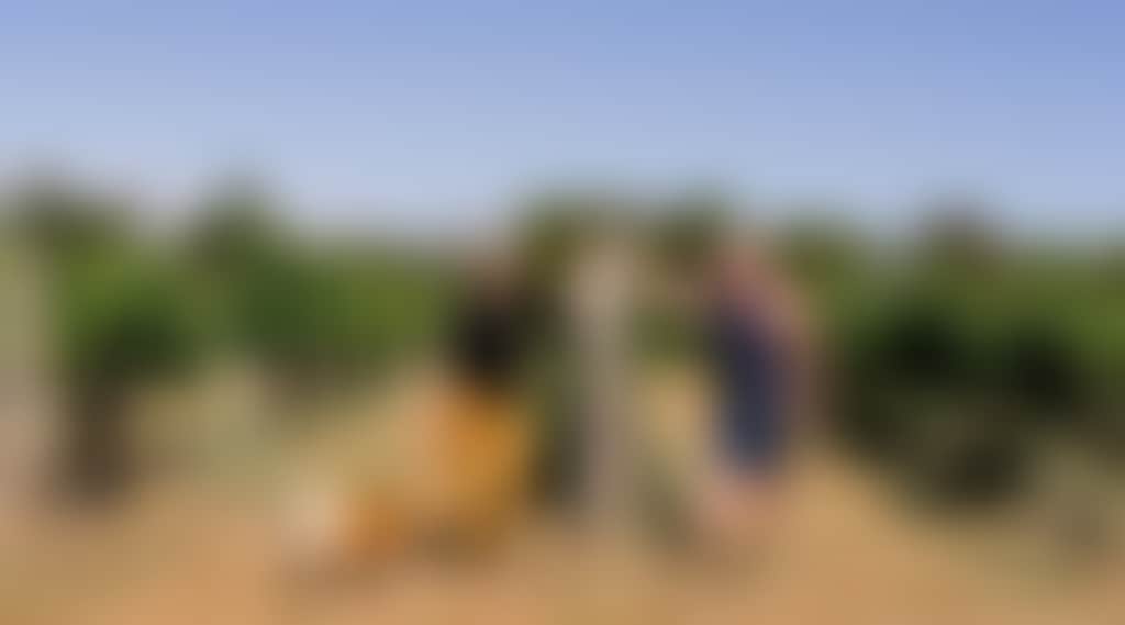 Dfc387691F10D5E57E9C70D8Bf6Fd3C9