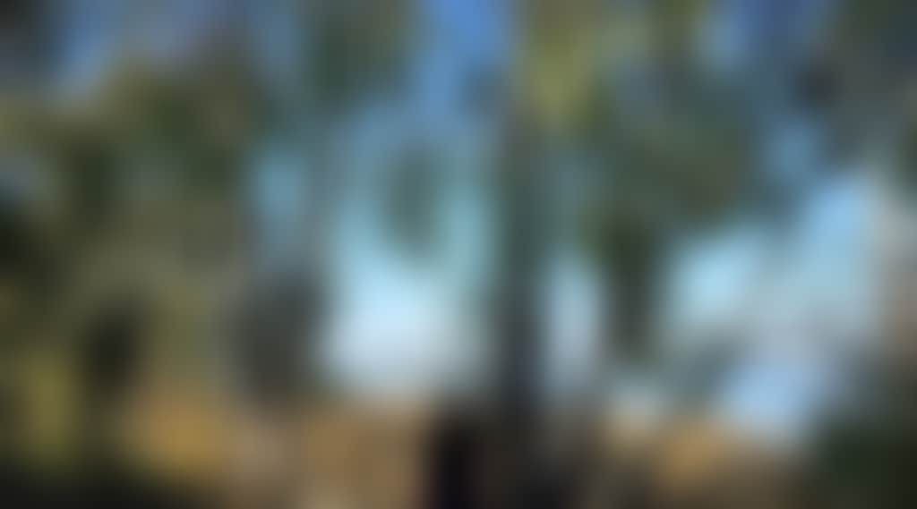 A9629525E4814725C2Decffa2Bdc33D9