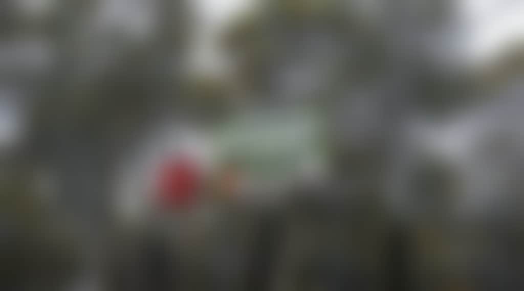 320746Aa0D1C13A2134E89Dbaeeac8Da