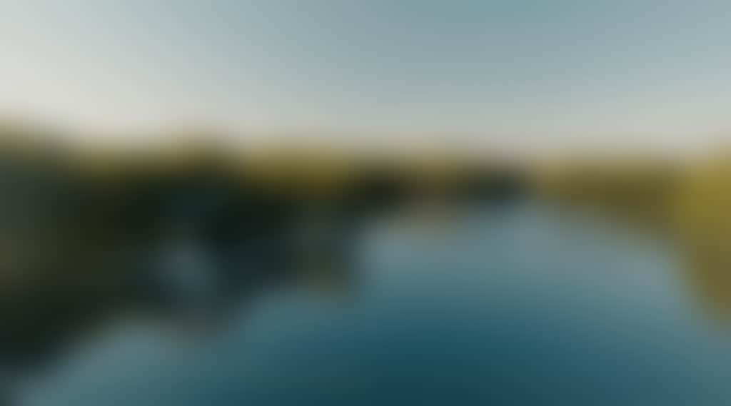 Ef95Fe7F996804F7A33D0A16B79513Ec