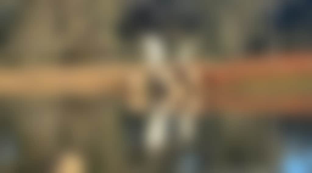 B96F568F26500F81Cac60361B5Fc3A2C