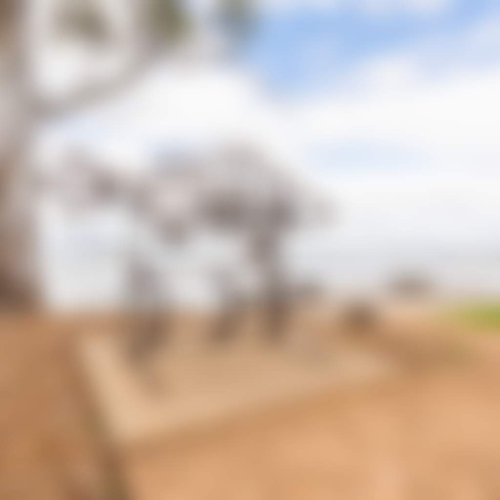 Mulwala Foreshore Fish sculpture Digger Loughnan Fishing Jetty Park