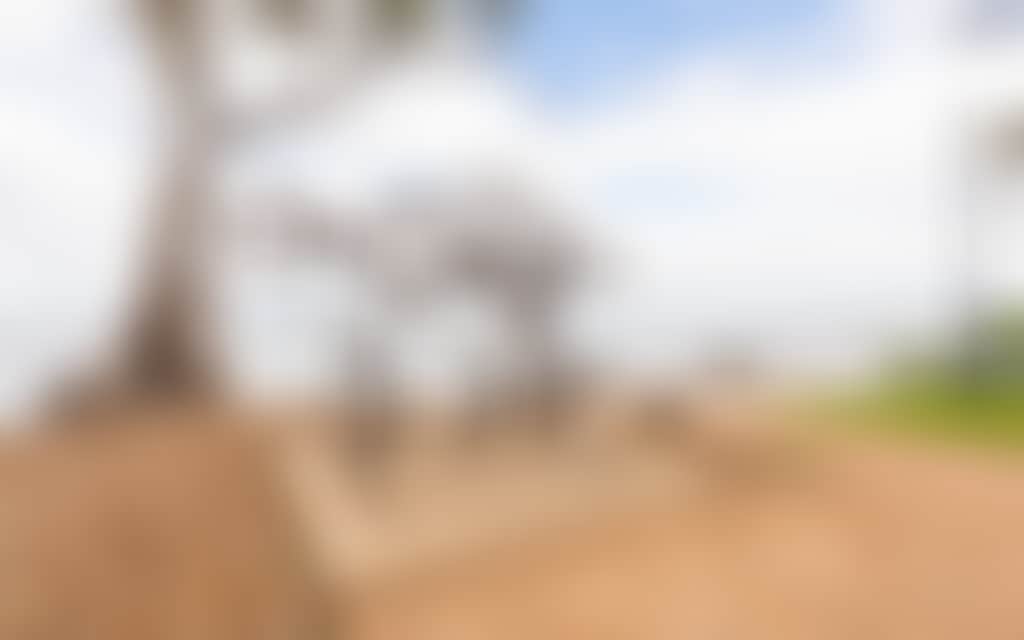 Mulwala Foreshore Fish sculpture Digger Loughnan Fishing Jetty Park