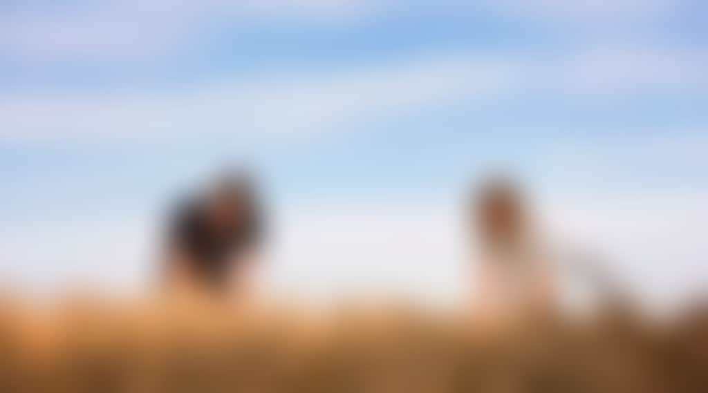 649Ab8188790C7B46E996287Dbfb0263