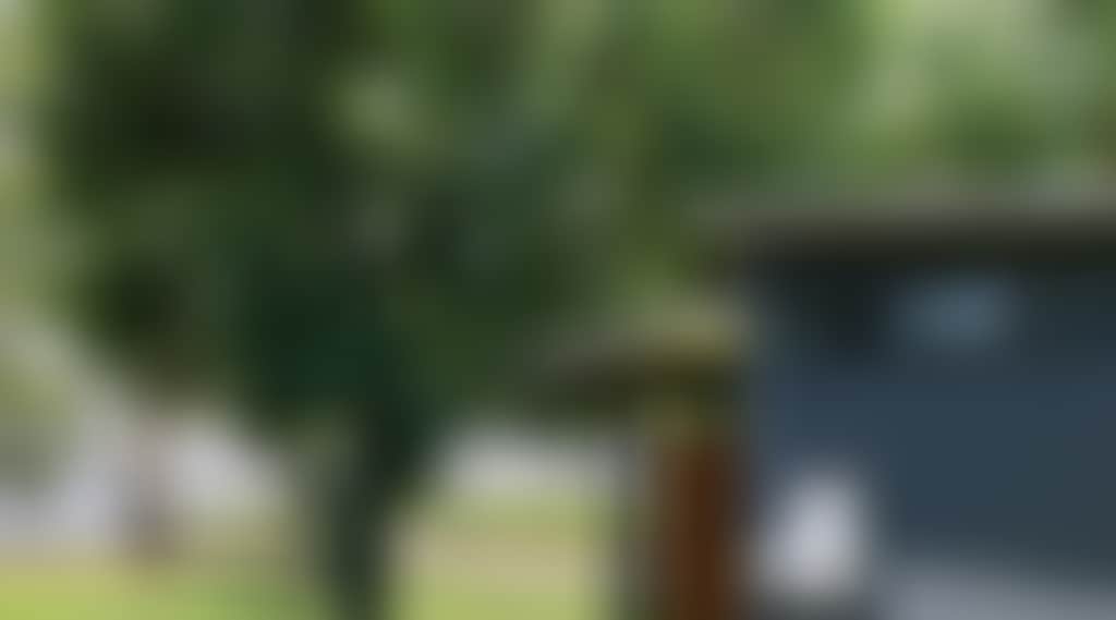 7Cf2Ee3C7Fe7369Ad8701109Af1B89A5