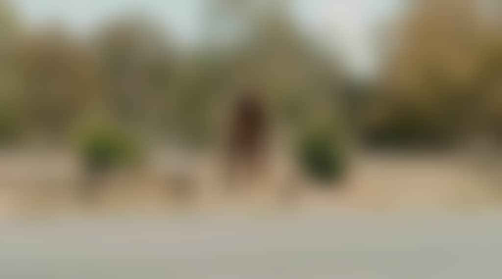 E4C4D6640Debc7Bc6D026A8B0Bb3517C