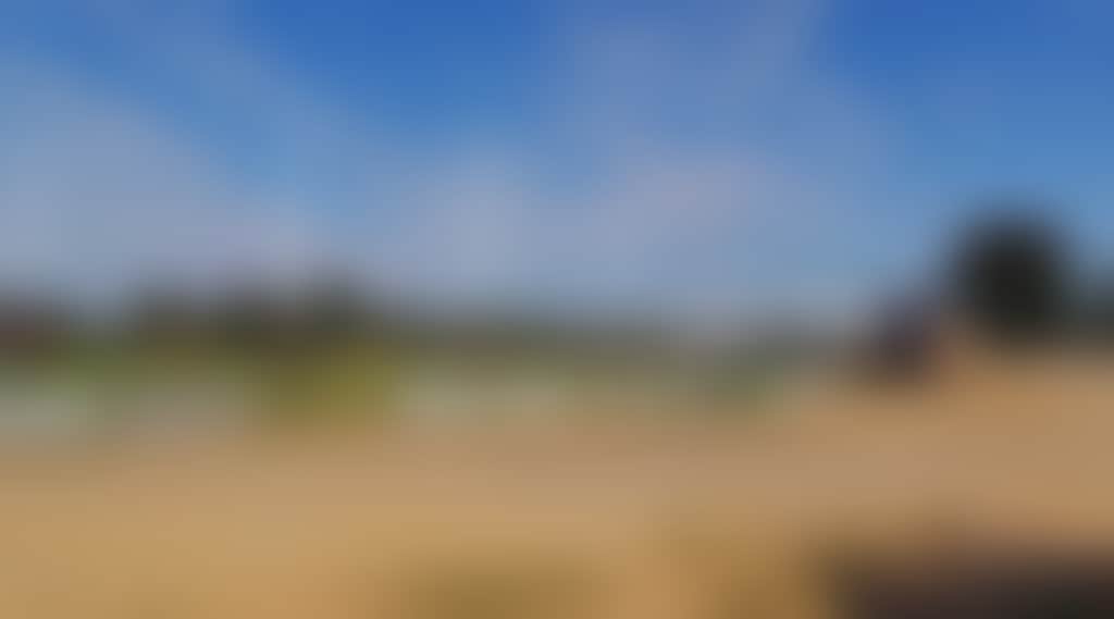 310955Fcbb8897A86F6Cfb9A6E331A83