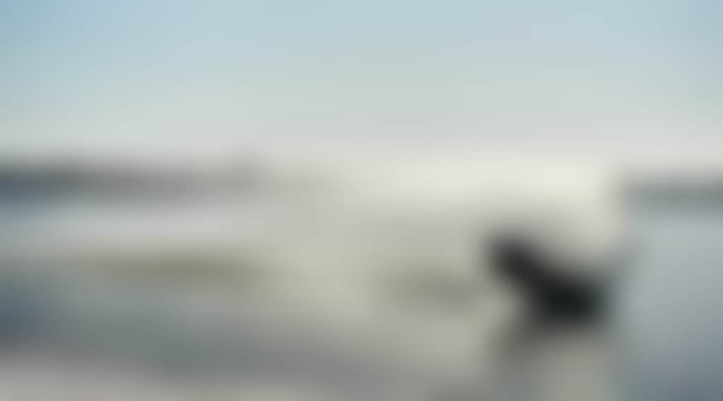 38Dc2558Dc15Bfbff44668315Ec2B90C