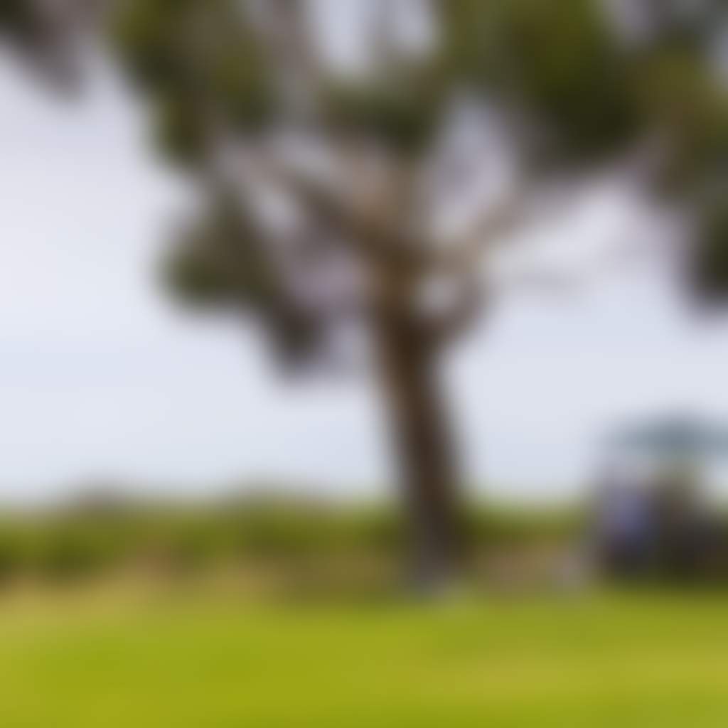 2Fb8D1Ba5Fafae431D909Ffe05D8B480