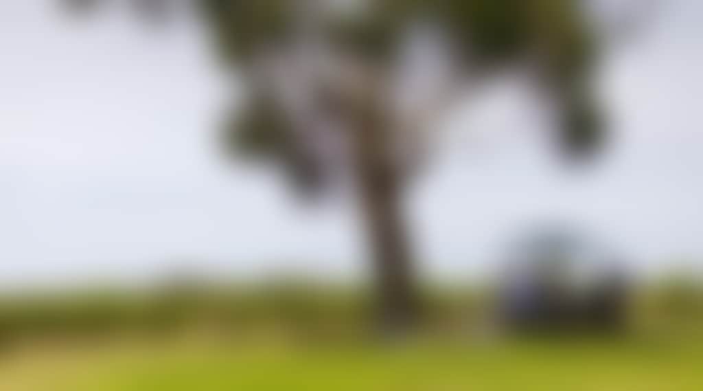 2Fb8D1Ba5Fafae431D909Ffe05D8B480