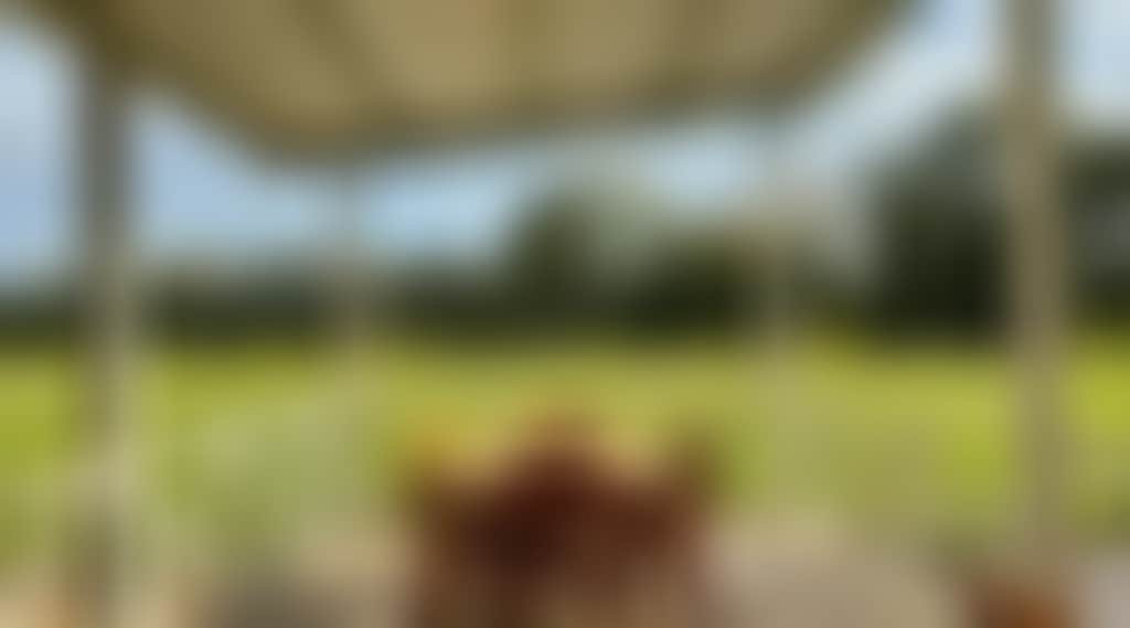 365194765B978C3965396D37Ddd10F1E