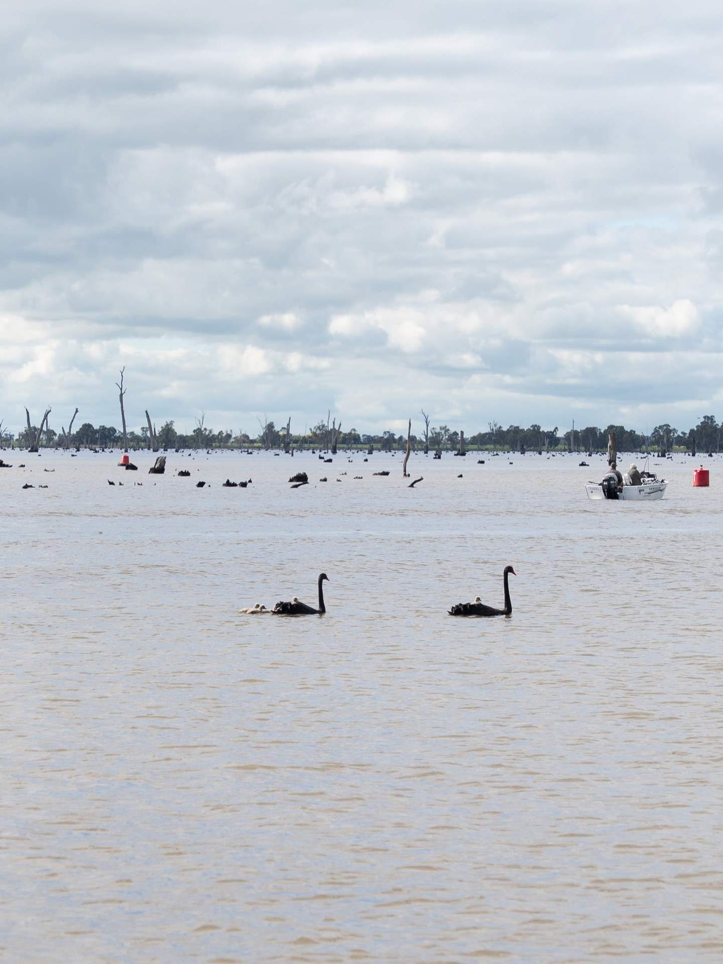 northofthemurray