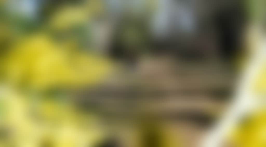 5B39A9B392210Cd945B6469D19Fe08B6