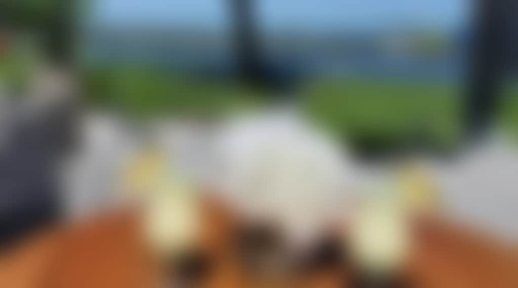 2F615D59E7Eba67F3B965Fd73150Dce3