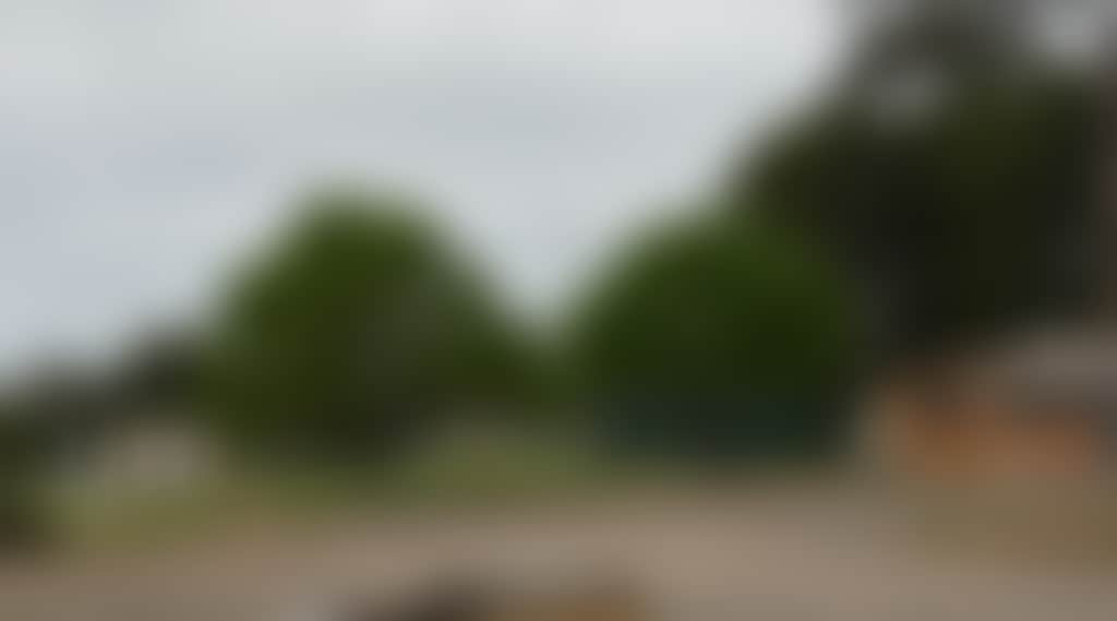 99Fac17Efc5Dee0283A25E0Cfce8B697