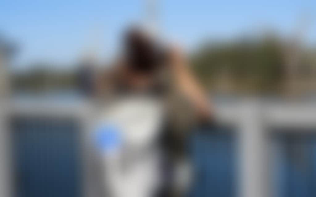 Mulwala Boardwalk Birdwatching2