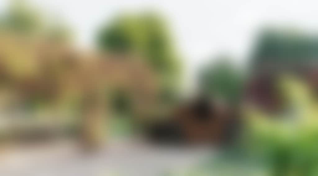 F9D518A53E82B2Dfc68E21C4Cfd8Ca2C