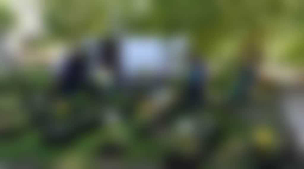 960D47D3000Ee59D032E3D9F854D3331