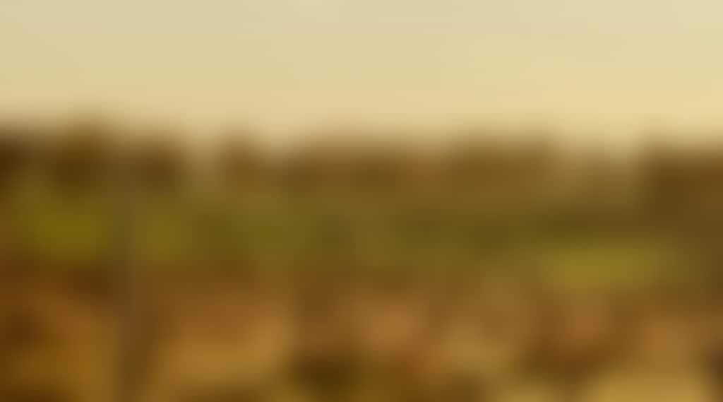 8D3Ae1001A3E165481F932A01239Da6A