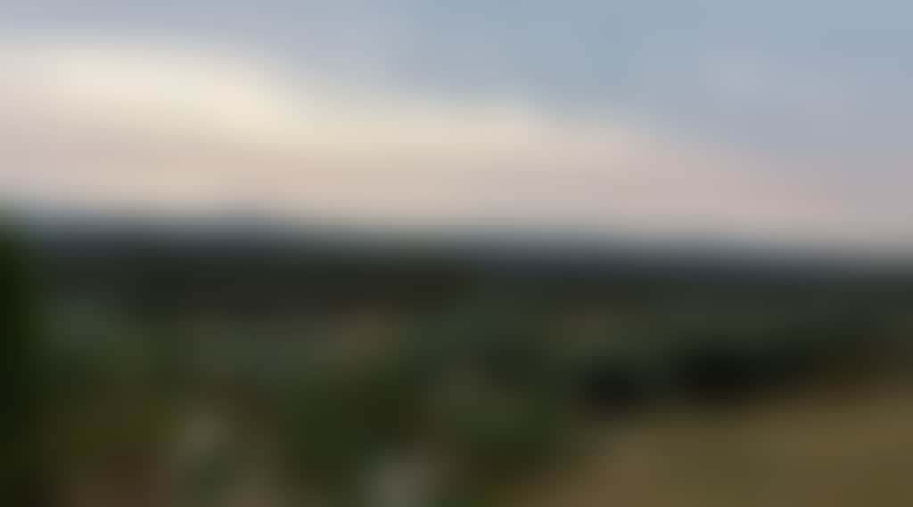 7D9Ebab49A1Dee1Bee6104C4B046Ee38