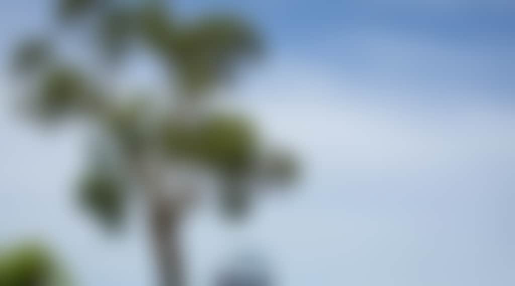 Bde790E63D543152Ce9A022Cf87960A2