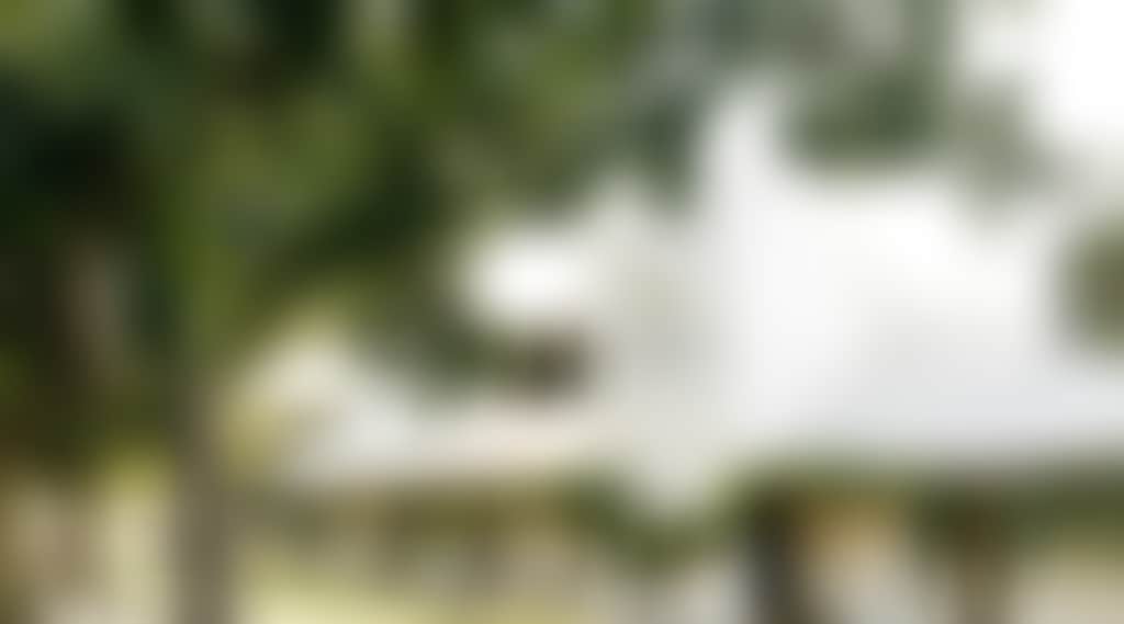 161913125185610D7C4B8400Eebfd432