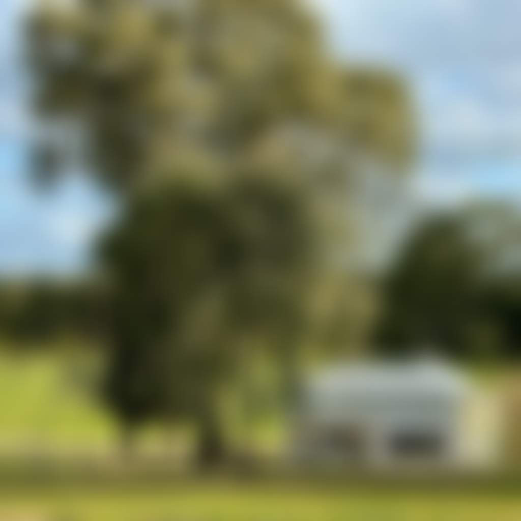 93F3Eb26757F0590882C4F2B69Ede0F0