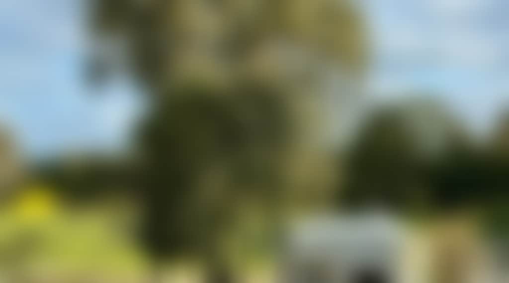 93F3Eb26757F0590882C4F2B69Ede0F0