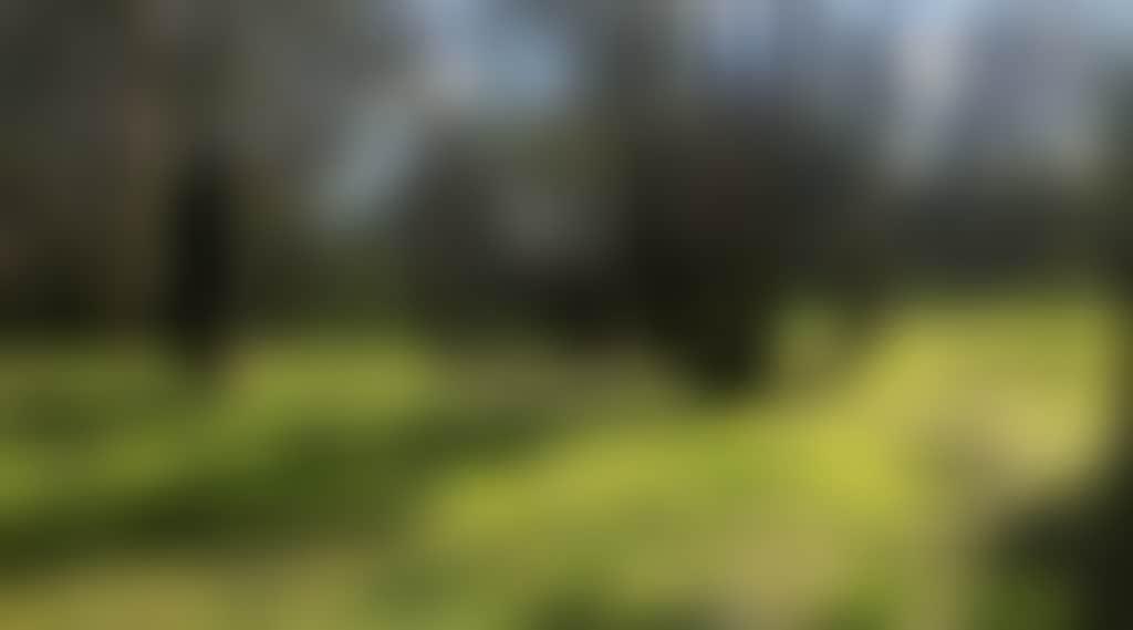 86119C2C3E9Fa75B93Ef11E03Accceaa