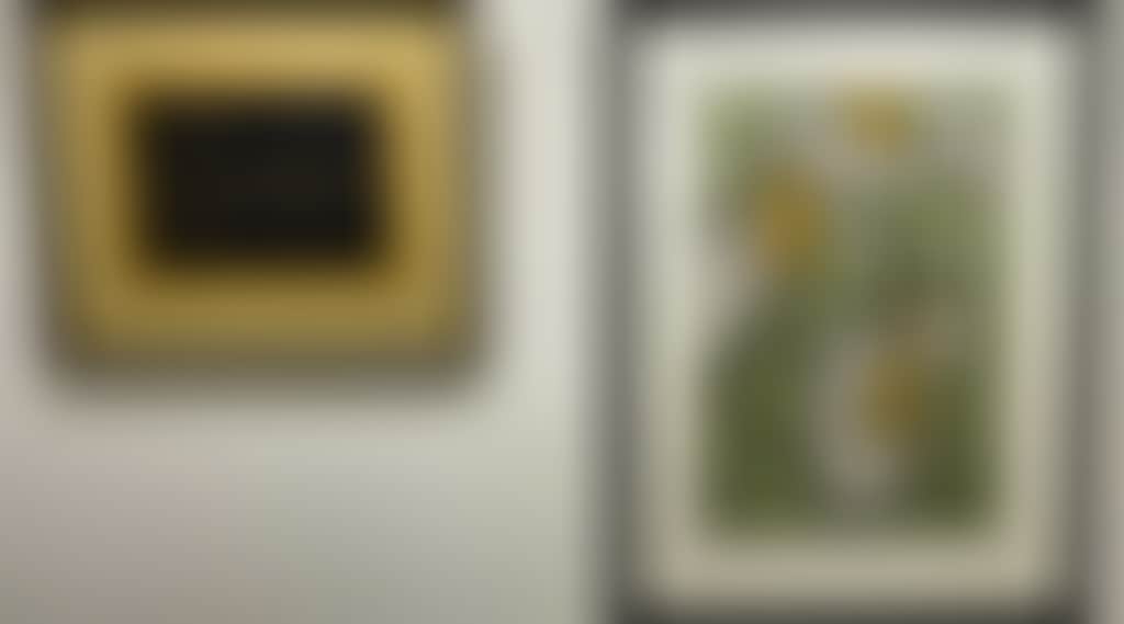 F00540Cf6E35D6Ddf088092E833Ba40D