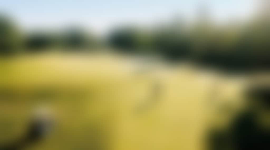 4317B1C62Ff92Fee5Bdf37Beaaf5A9Be