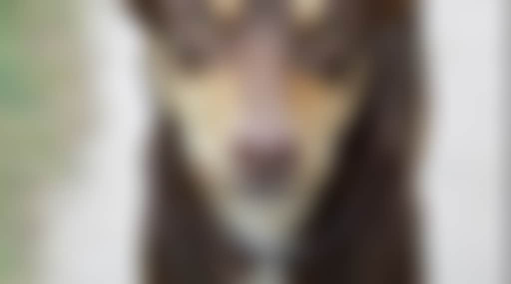 D2Fd4Bc7Ef6C06Cbaaa92C5312Cacb3D