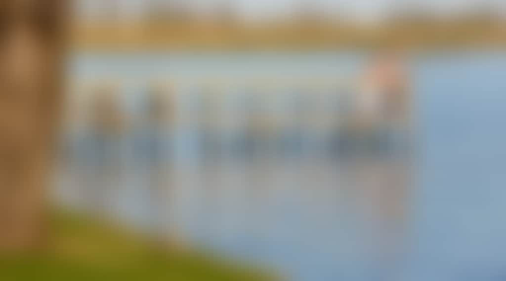 Original__9756958_Hc26_Sdph2648_Q4Q7Tf9