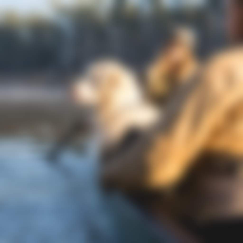 On Murray in canoe with couple and dog