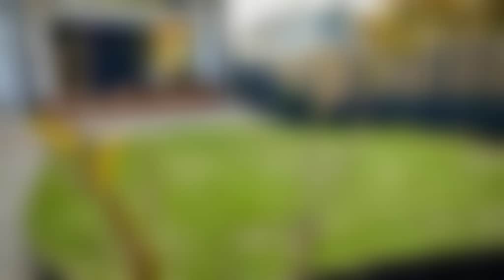 1Eaf026A42Aff2300Bca933525D9461F