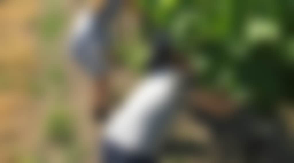 64Fbad77E2B7377D688C9Dc15Da74Be0