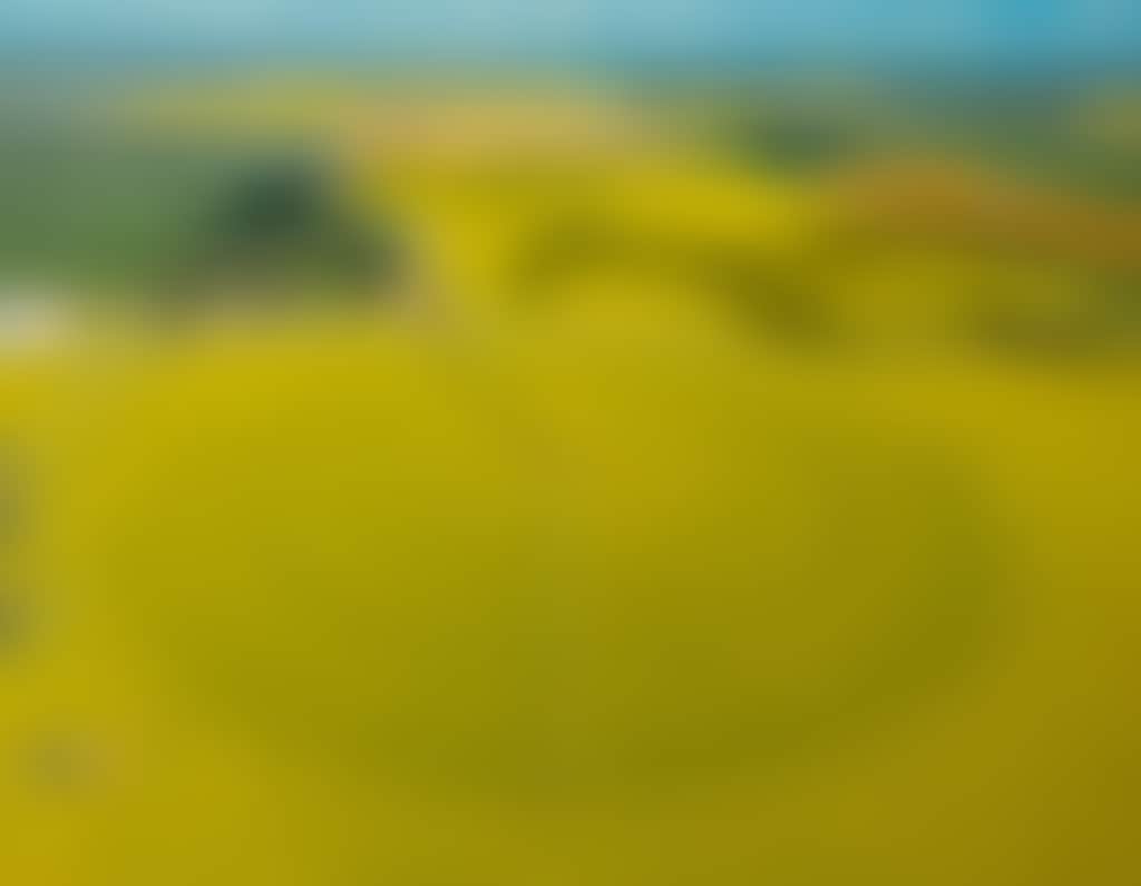 Canola Howlong