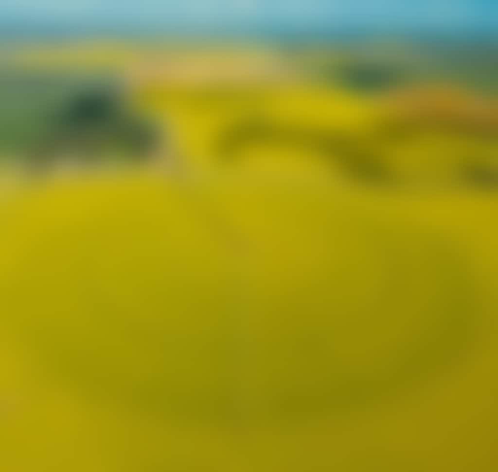 Canola Howlong