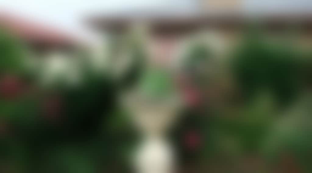 Original__9465044_Cd34_Front_Urn_54447Xs