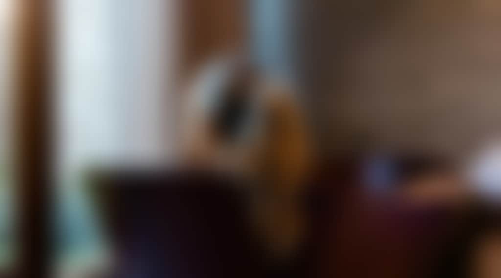 496116372E9Ef993B4Fb845E92521E03