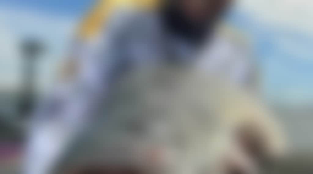 5Af0E2F995Ed681C8Fd21F6A31863Bfa