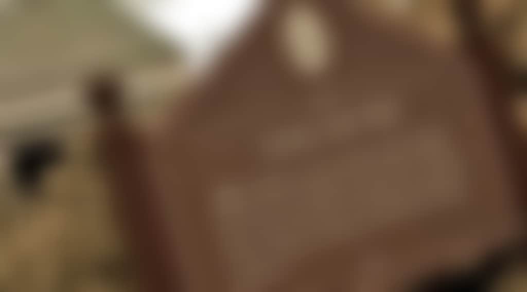 31C305D11D35Eec56Cfa163Dbe2Cdccb