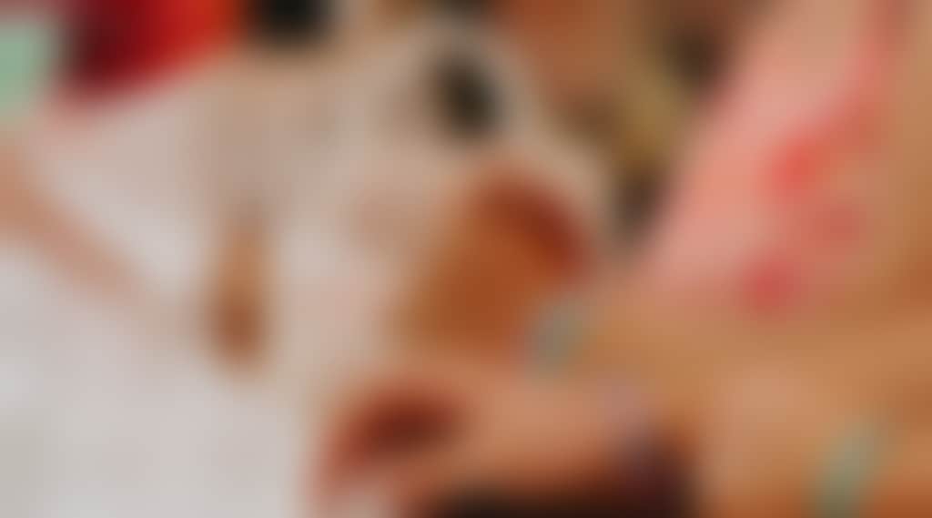 E85017C4Ea98F8Fcd8Ce2Cf8722Fd500